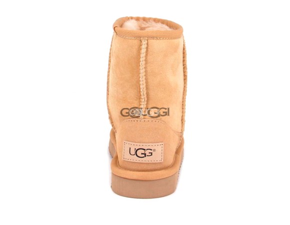 Kids Classic Short Chestnut 2